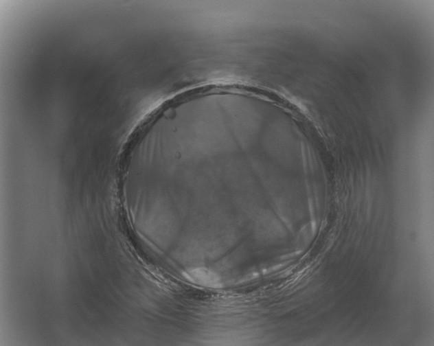 X0000062641263200601041048