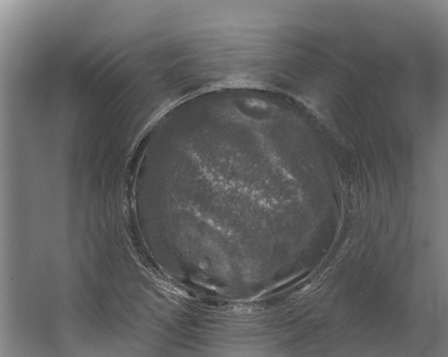X0000062641266200601041048