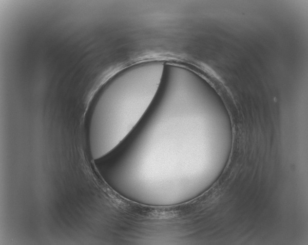 X0000062641269200601041048