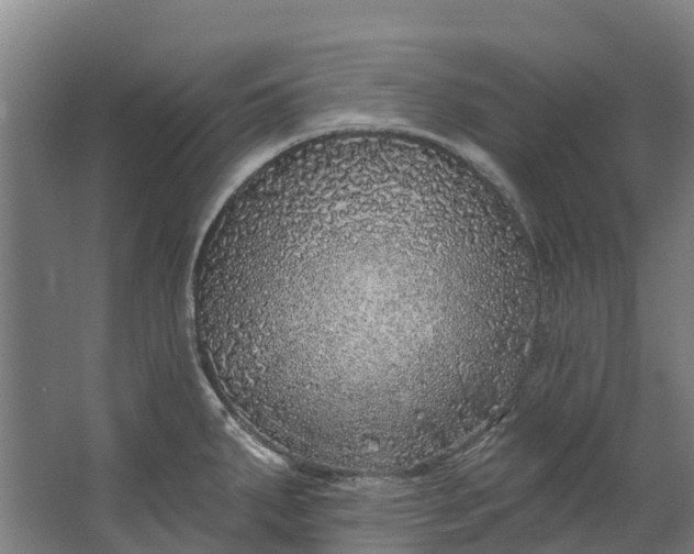 X0000062641287200601041047