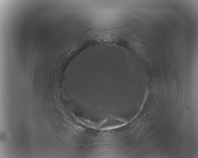 X0000062641297200601041046