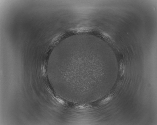 X0000062641300200601041046