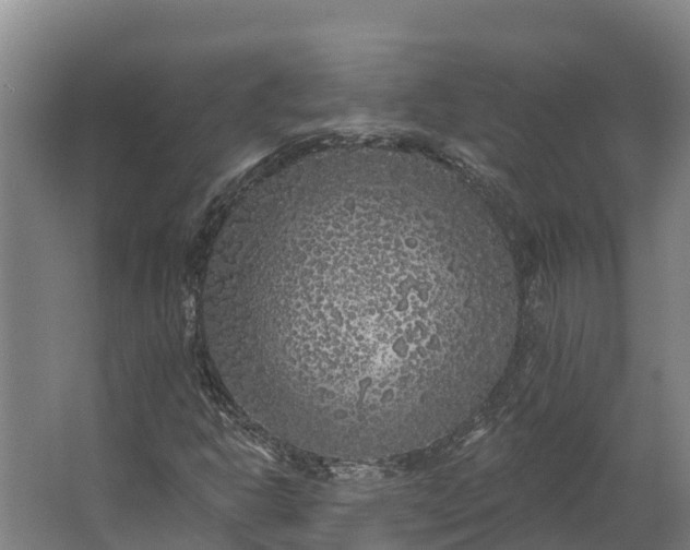 X0000062641302200601041046