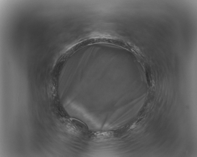X0000062641303200601041046