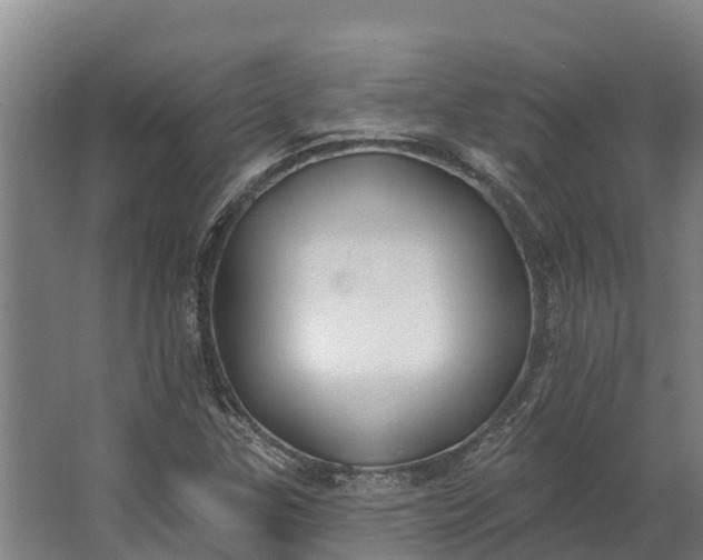 X0000062641307200601041047