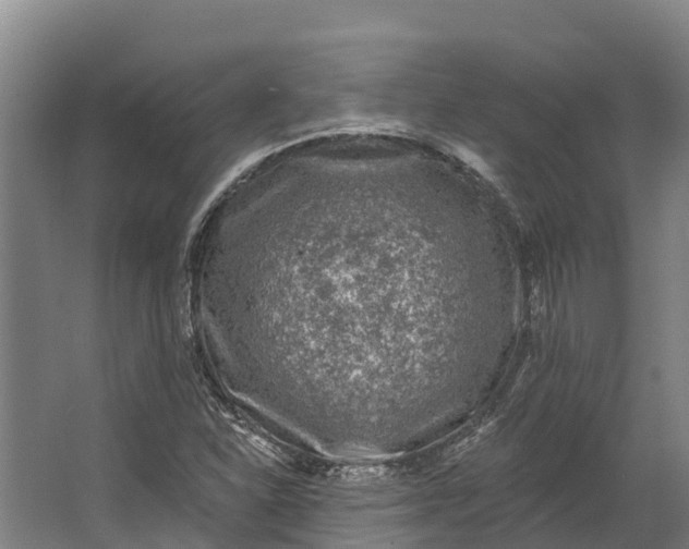 X0000062641310200601041047