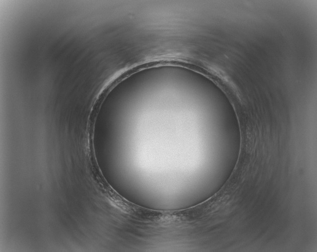 X0000062641316200601041047