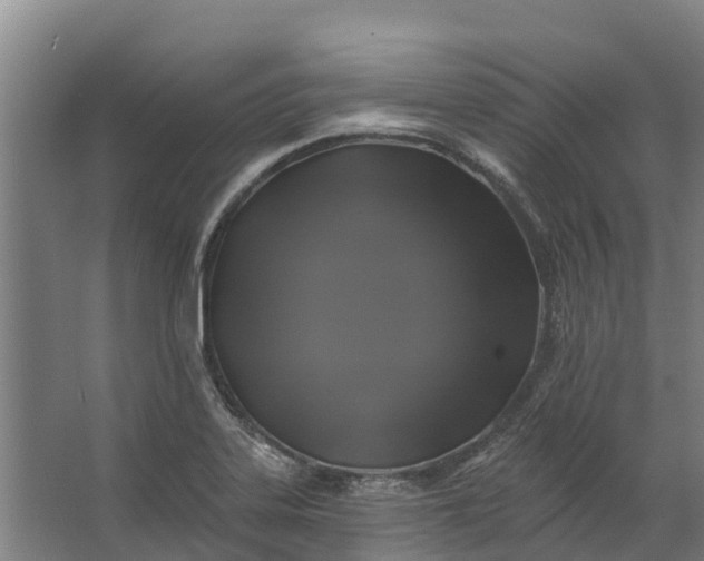 X0000062641323200601041047