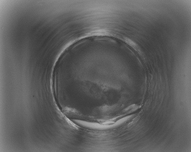 X0000062641334200601041047