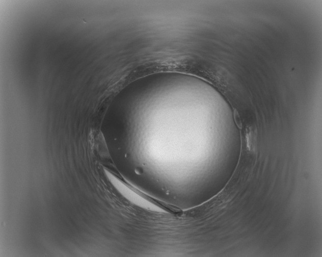 X0000062641347200601041046