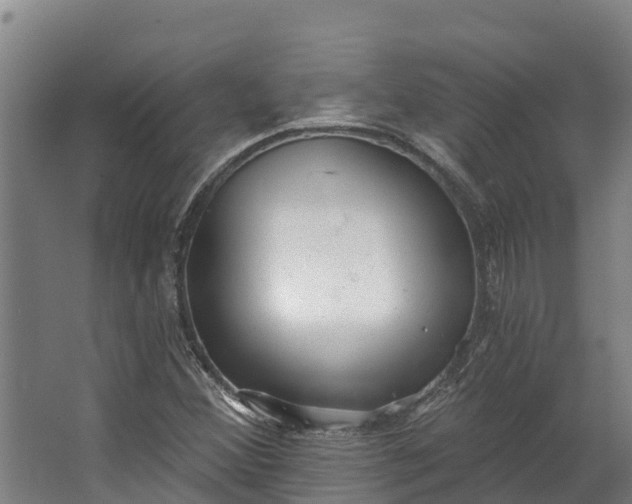 X0000062641356200601041046