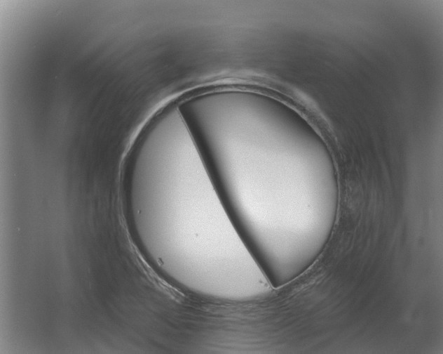 X0000062641368200601041046