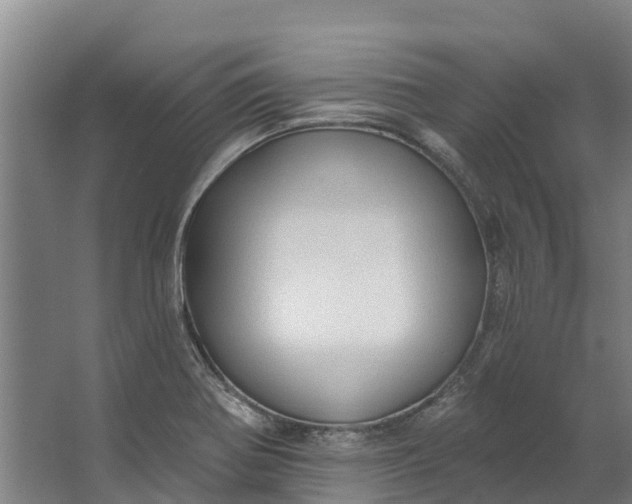 X0000062641370200601041046