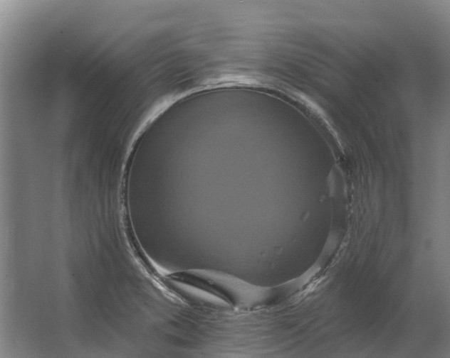 X0000062641373200601041046