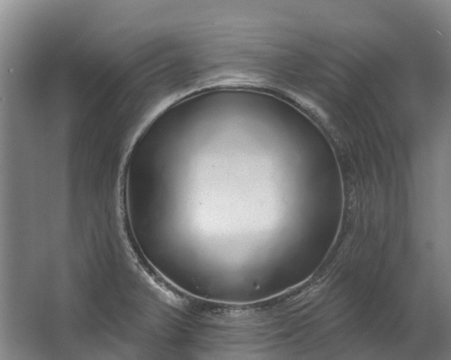 X0000062641375200601041046