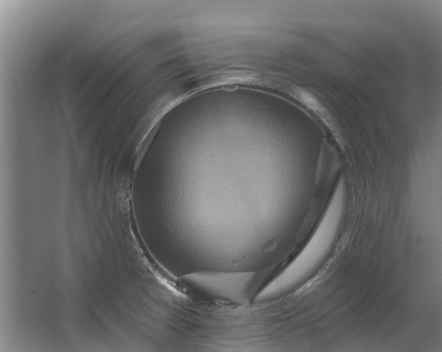 X0000062641377200601041046