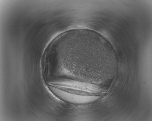 X0000062641382200601041046