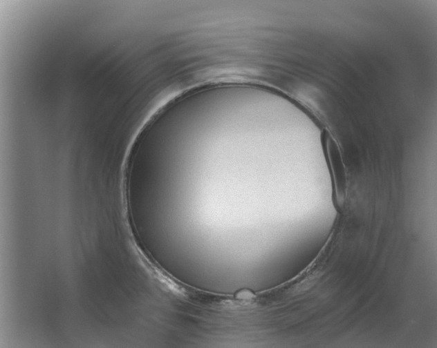 X0000062641384200601041046