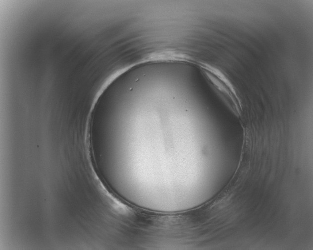 X0000062641387200601041046