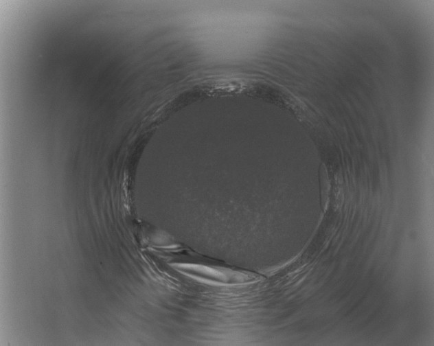 X0000062641394200601041045