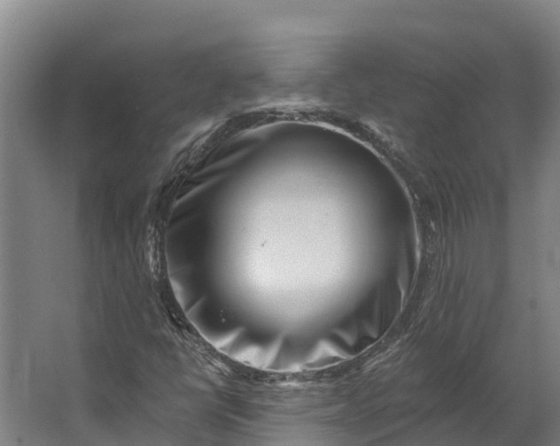 X0000062641398200601041045