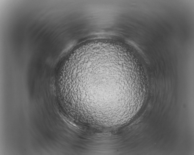 X0000062641403200601041045
