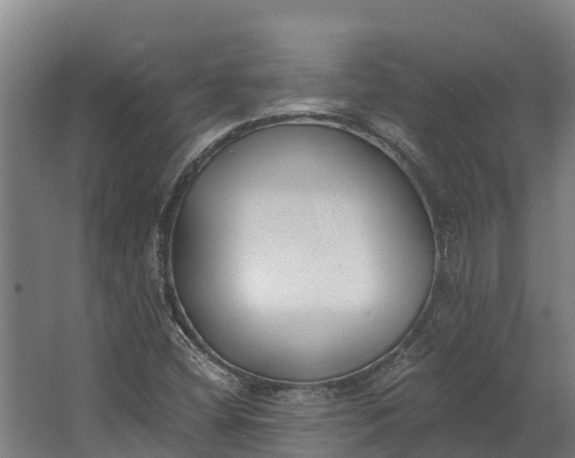 X0000062641404200601041045