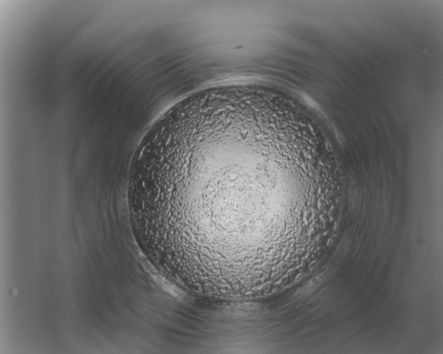 X0000062641417200601041045