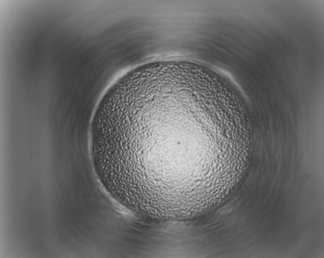 X0000062641424200601041045