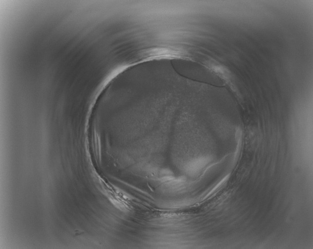 X0000062641427200601041045