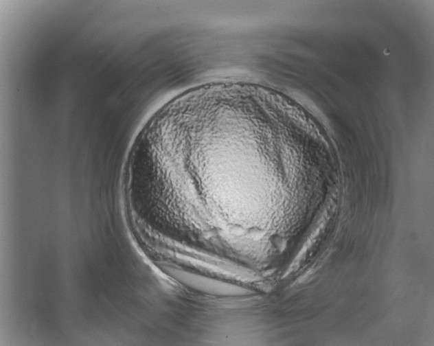 X0000062641440200601041046