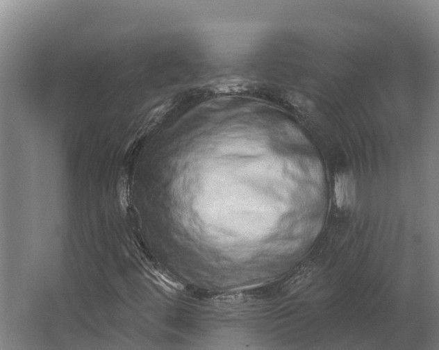 X0000062641444200601041045