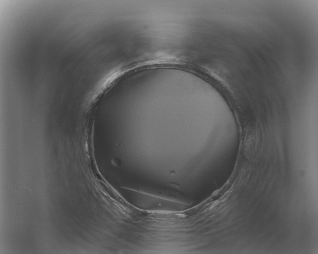 X0000062641455200601041044
