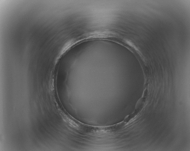 X0000062641459200601041044