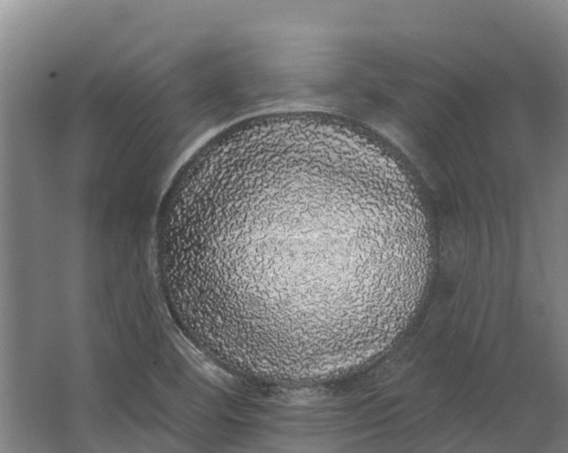 X0000062641460200601041044