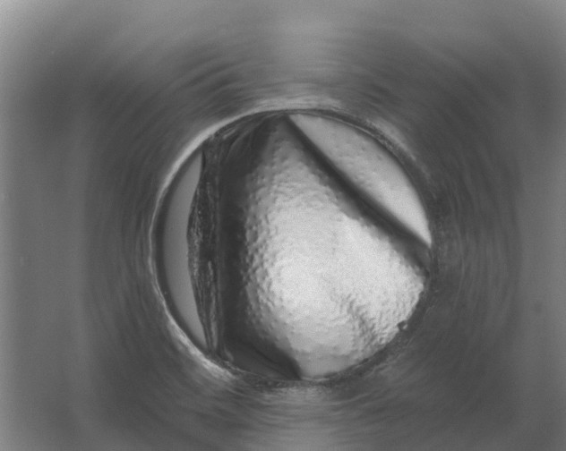 X0000062641468200601041044