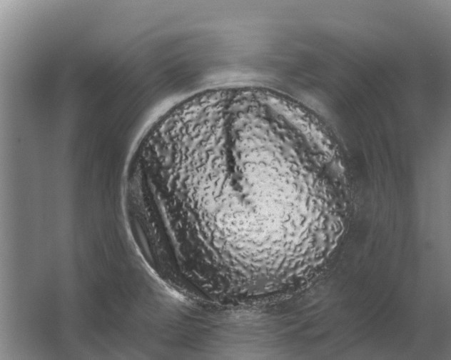 X0000062641472200601041044