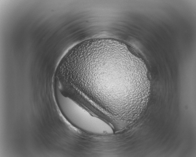 X0000062641476200601041044