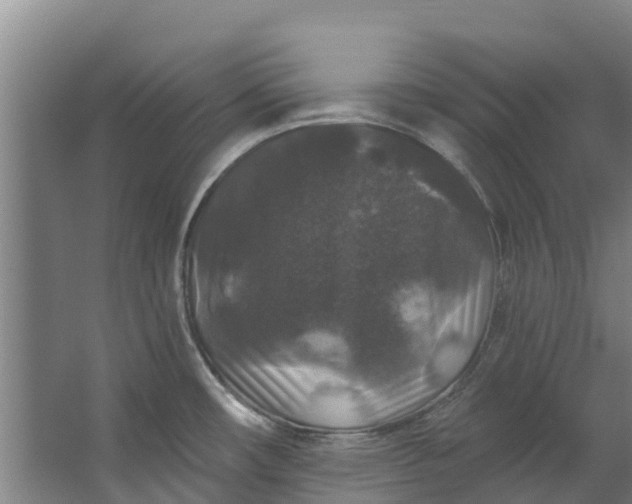 X0000062641482200601041044