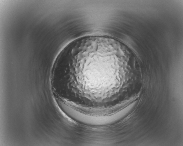 X0000062641484200601041044
