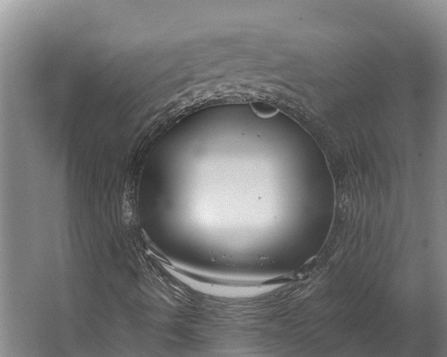 X0000062641490200601041043