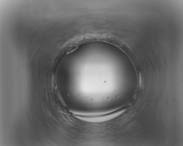 X0000062641492200601041043