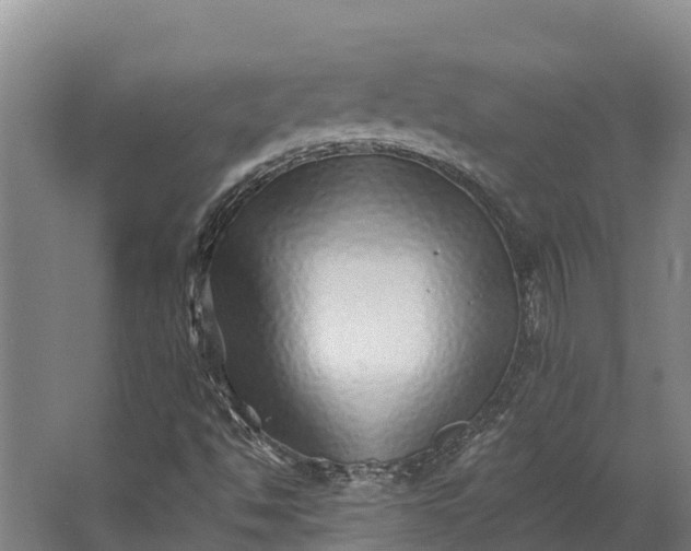 X0000062641494200601041043