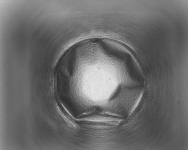 X0000062641507200601041043