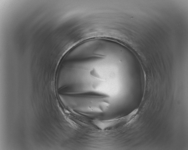 X0000062641513200601041044