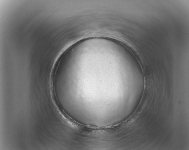 X0000062641517200601041044