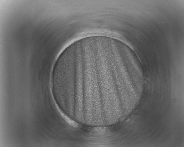 X0000062641523200601041044