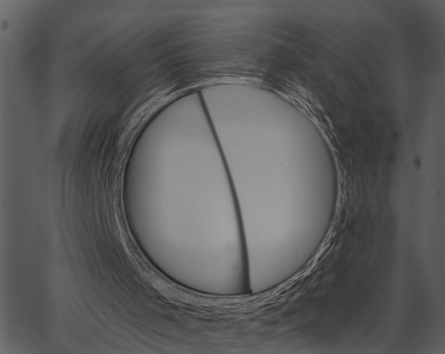 X0000062640001200601111138