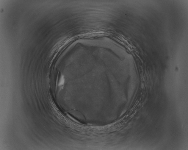 X0000062640002200601111138