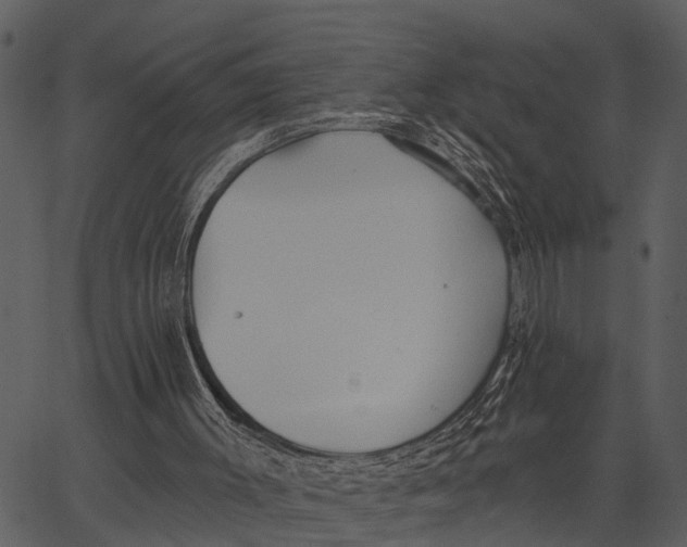 X0000062640003200601111138